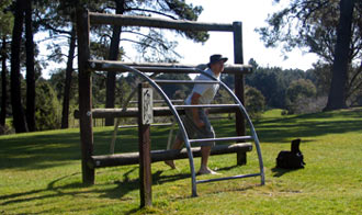 Disc Golf New Zealand