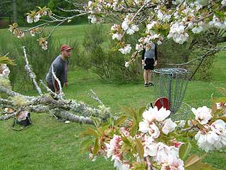 Disc Golf New Zealand