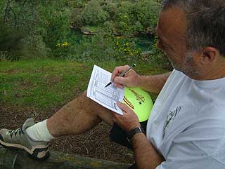 Disc Golf New Zealand