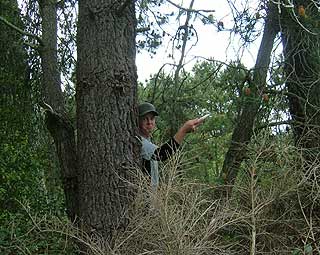 Disc Golf New Zealand