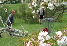 Disc Golf New Zealand