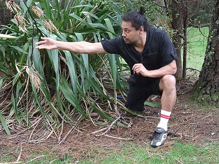 Disc Golf New Zealand