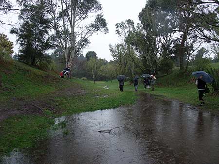 Disc Golf New Zealand