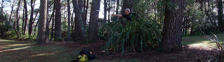 Disc Golf New Zealand