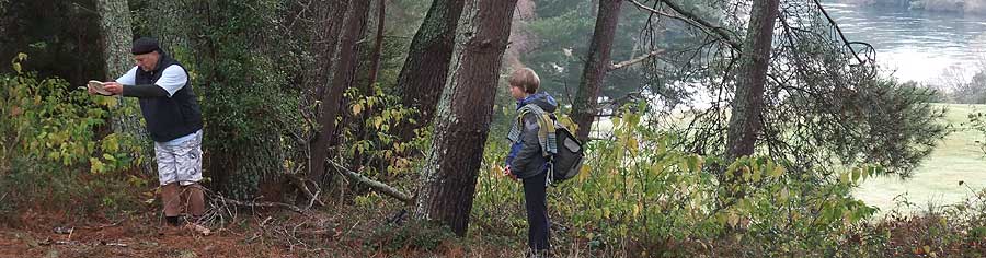 Disc Golf New Zealand