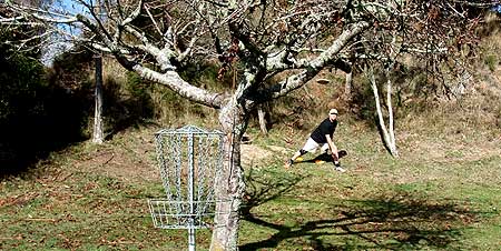 Disc Golf New Zealand