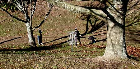 Disc Golf New Zealand