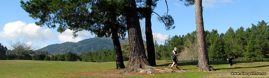 Disc Golf New Zealand