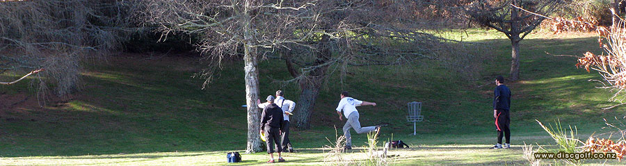 Disc Golf New Zealand