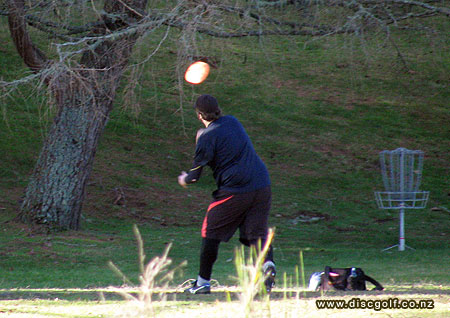 Disc Golf New Zealand