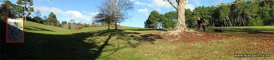 Disc Golf New Zealand