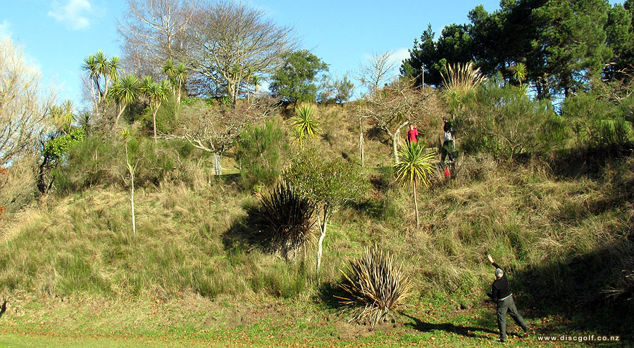 Disc Golf New Zealand