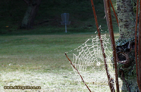 Disc Golf New Zealand