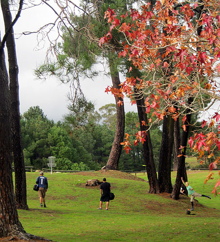 Disc Golf New Zealand