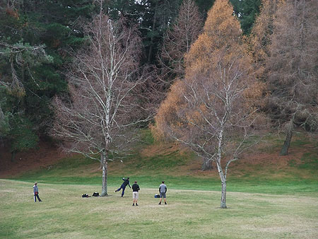 Disc Golf New Zealand