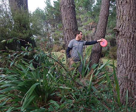 Disc Golf New Zealand