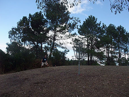 Disc Golf New Zealand