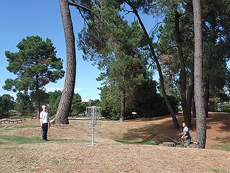 Disc Golf New Zealand