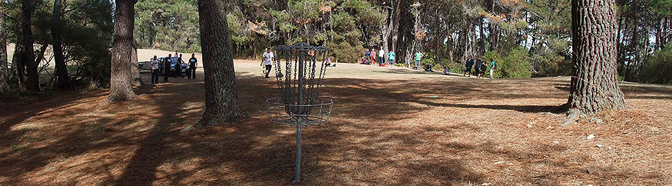 Disc Golf New Zealand