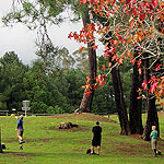 Disc Golf New Zealand