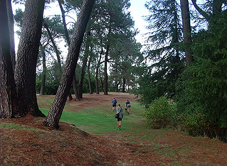 Disc Golf New Zealand