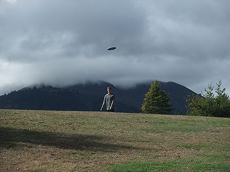 Disc Golf New Zealand