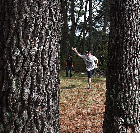 Disc Golf New Zealand