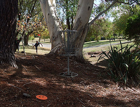 Disc Golf New Zealand