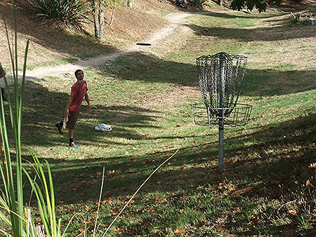 Disc Golf New Zealand