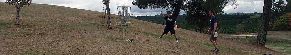 Disc Golf New Zealand