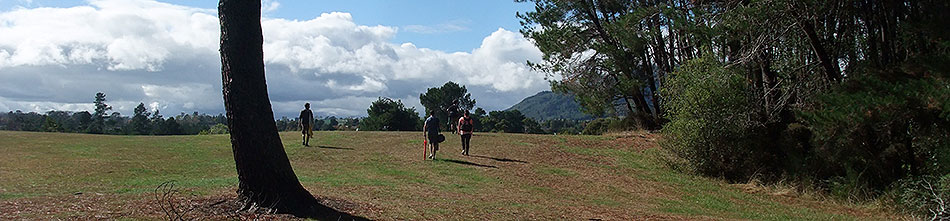 Disc Golf New Zealand