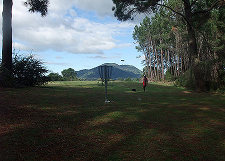 Disc Golf New Zealand