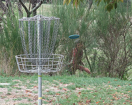 Disc Golf New Zealand