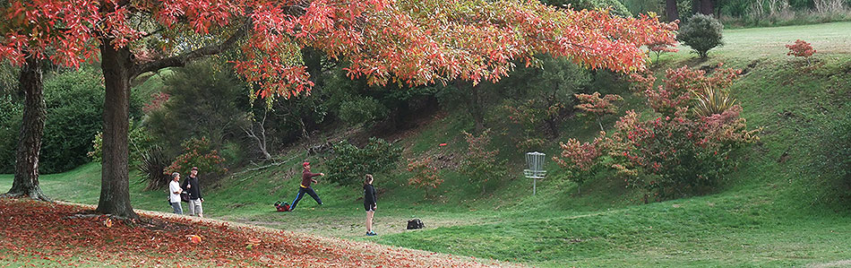 Disc Golf New Zealand