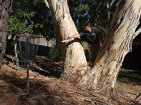 Disc Golf New Zealand