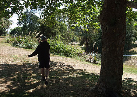 Disc Golf New Zealand