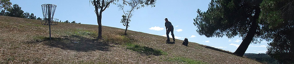 Disc Golf New Zealand