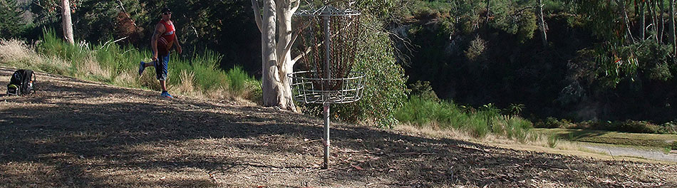 Disc Golf New Zealand