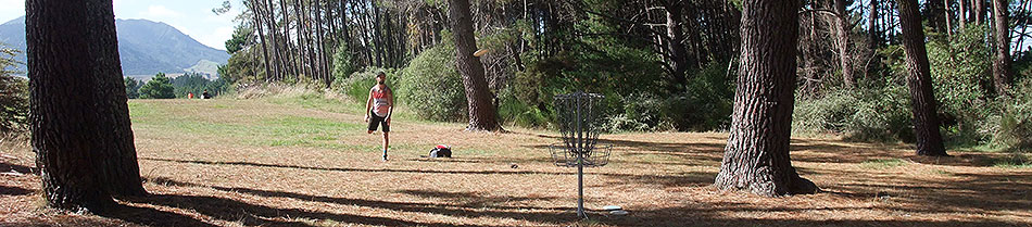 Disc Golf New Zealand