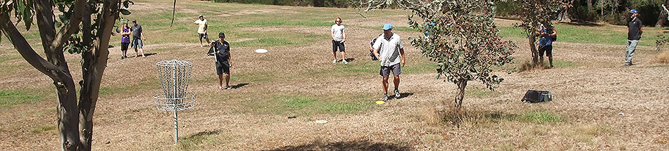 Disc Golf New Zealand