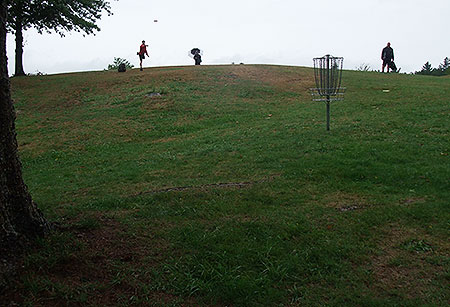 Disc Golf New Zealand Disc Golf New Zealand