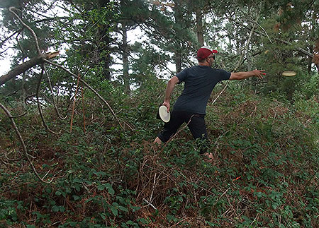Disc Golf New Zealand Disc Golf New Zealand