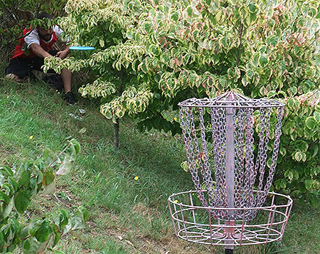 Disc Golf New Zealand