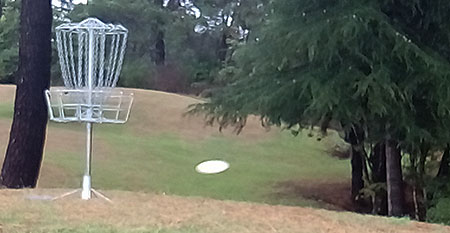 Disc Golf New Zealand Disc Golf New Zealand