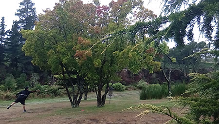 Disc Golf New Zealand