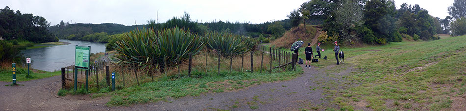 Disc Golf New Zealand