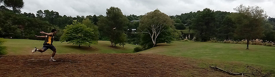 Disc Golf New Zealand