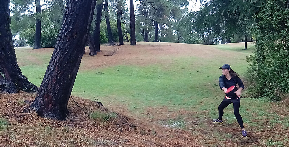 Disc Golf New Zealand