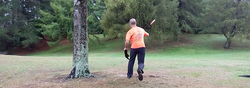 Disc Golf New Zealand Disc Golf New Zealand