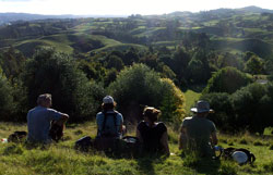 Disc Golf New Zealand